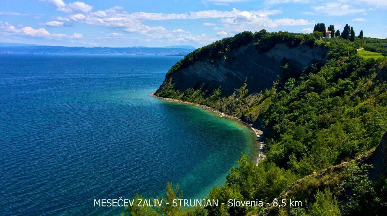 Peaceful Family Apartments Jasna Порторож Екстер'єр фото